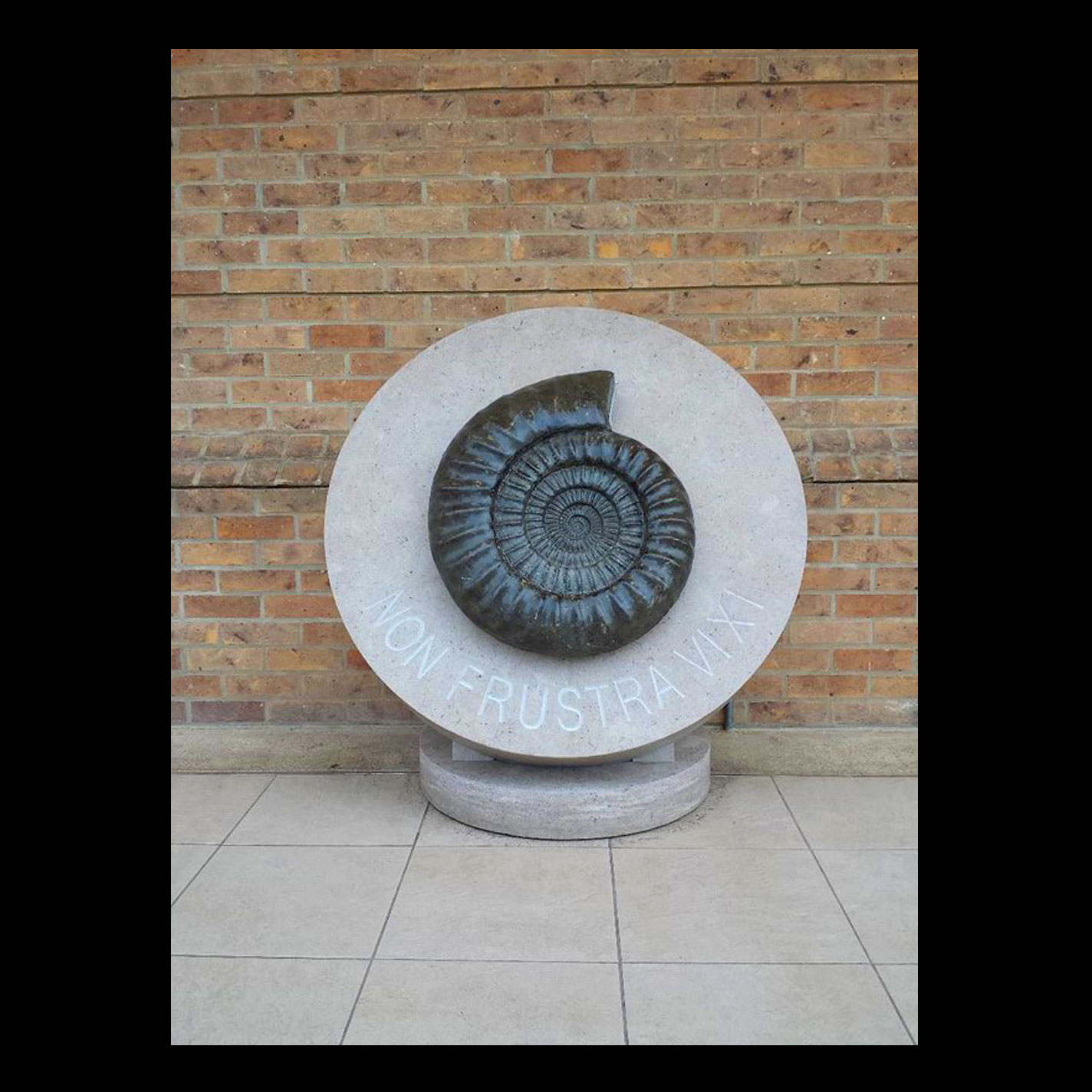 Display - St Hilda's College, Oxford - Large Ammonite Fossil (College Symbol) Displayed on 1.2m high Circular Stone Plinth - Design & Drawings.